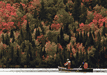 #65. Autumn Paddle