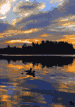 #63. Loon Sunset