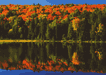 #70.  Mirrorred Shoreline
