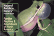 Familiar Reptiles and Amphibians of North America