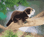 River Otter Puppet