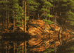#35. Tranquil Reflections