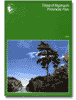 Trees in Algonquin Provincial Park